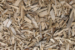 biomass boilers Wilnecote